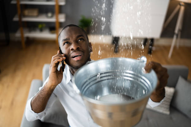 Best Flood damage cleanup  in Millbury, OH