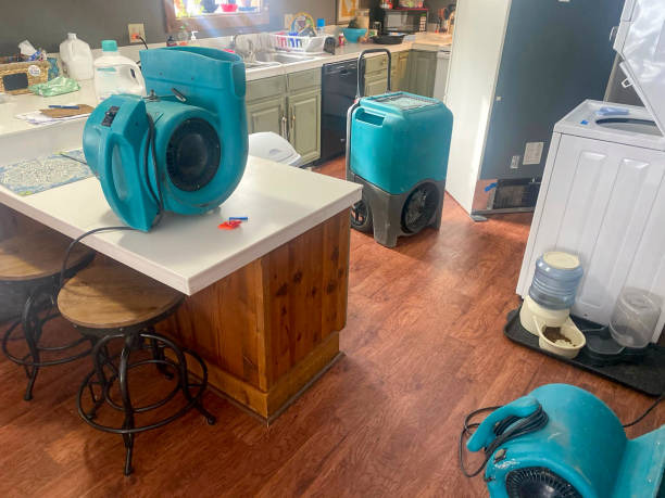 Best Emergency water damage restoration  in Millbury, OH