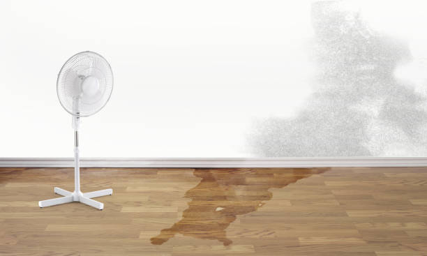 Best Fire Damage Restoration  in Millbury, OH