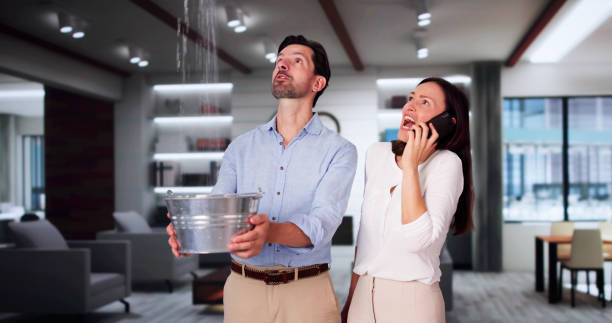 Best Local water damage restoration  in Millbury, OH
